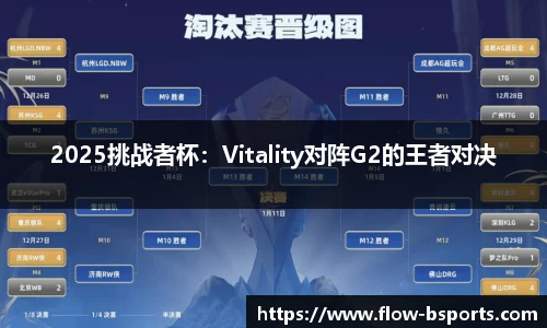 2025挑战者杯：Vitality对阵G2的王者对决